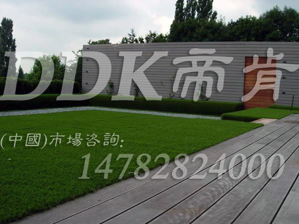 【露臺花園地板用什么材料】樣板圖片,帝肯(DDK)_6200（Green|歌林）效果圖，頂樓露臺裝修,露臺地磚,露臺地板,露臺草坪